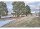 Landscaped backyard with firepit and trees at 55 N Pines Trl, Parker, CO 80138