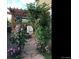 Charming garden archway covered in climbing roses, leading to a serene backyard space at 6502 Shea Pl, Highlands Ranch, CO 80130