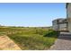 The expansive backyard features lush grass, privacy fencing, and picturesque views of the surrounding landscape at 42830 Ivydel St, Elizabeth, CO 80107