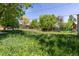 Large backyard featuring a play structure and trampoline, surrounded by mature trees and grass at 140 S Kendall St, Lakewood, CO 80226