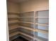 Walk-in pantry with open shelving for optimal storage solutions at 1759 Jennifer St, Brighton, CO 80601