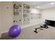 Finished basement space with an exercise bike, yoga ball and closet organizer at 24 Navajo Trl, Evergreen, CO 80439