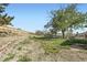 Spacious backyard featuring tiered landscaping, a stone retaining wall, and privacy fencing at 9958 Milwaukee St, Thornton, CO 80229