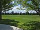Expansive green park view framed by lush trees and a clear blue sky with scattered clouds at 7782 S Louthan St, Littleton, CO 80120