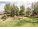 Expansive grassy backyard with mature trees, offering privacy and ample space for outdoor activities and entertaining at 8687 N Pinery Pkwy, Parker, CO 80134