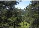 Aerial view of house nestled in trees with mountain views at 9189 Fallen Rock Rd, Conifer, CO 80433