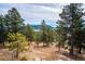 Scenic view of a natural landscape with mature trees and distant mountains at 9189 Fallen Rock Rd, Conifer, CO 80433