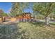 Backyard view of the property with mature trees providing shade, a wooden privacy fence, and healthy green grass at 975 S Queen Way, Lakewood, CO 80226
