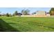 Wide open green yard with wooden fence in the background at 4510 E 121St Pl, Thornton, CO 80241
