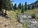 Beautiful view of the creek surrounded by trees with a small trail at 815 Columbine Rd # 22, Breckenridge, CO 80424