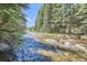 Scenic view of a flowing creek surrounded by a dense forest at 815 Columbine Rd # 22, Breckenridge, CO 80424