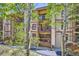 Exterior view of the building with balconies surrounded by birch trees at 815 Columbine Rd # 22, Breckenridge, CO 80424