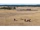 Estate property with large home, barn, and horse pastures at 9250 Steeplechase Dr, Franktown, CO 80116