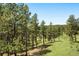 The grassy backyard features mature trees and vegetation and room to play at 2122 Cramner Ct, Evergreen, CO 80439