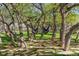 Serene backyard with hammocks strung between mature trees, creating a relaxing retreat for leisure and enjoyment at 8966 Sunridge Hollow Rd, Parker, CO 80134