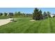 Expansive green space featuring lush grass, mature trees, and walking paths at 13440 Monaco St, Thornton, CO 80602
