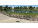 Scenic view of the community pond, perfect for relaxing and enjoying nature at 13440 Monaco St, Thornton, CO 80602