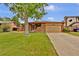 Charming brick ranch home with a lush green lawn and mature tree providing shade and curb appeal at 13624 Omega Cir, Lone Tree, CO 80124