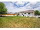 Large backyard with lush green lawn, white fence, and ample space for outdoor activities at 2151 Burbank St, Berthoud, CO 80513