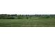 Expansive grass field with a soccer goal, bordered by lush greenery and scattered trees at 7655 S Ogden Way, Centennial, CO 80122