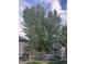 Large backyard with various trees and plants near a home at 23101 Timber Spring Ln, Parker, CO 80138