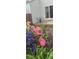 Cozy backyard patio featuring a sliding glass door and a charming garden with colorful flowers at 5522 S Quemoy Cir, Aurora, CO 80015