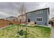 Large backyard with a concrete patio, a new tree, and a wood fence at 635 Silver Rock Trl, Castle Rock, CO 80104