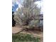 Charming front yard with a blooming tree, manicured lawn, gravel, and a decorative border at 7661 Chickaree Ct, Littleton, CO 80125
