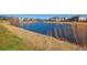 Picturesque pond view with grassy shores, providing a serene community setting at 7661 Chickaree Ct, Littleton, CO 80125