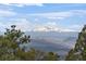 Scenic view of snow-capped mountains and rolling hills, framed by lush green pine trees at 23007 Big Game Trl, Conifer, CO 80433