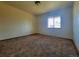 Bedroom with a window offering natural light and neutral carpet at 117 Valentine Ln, Longmont, CO 80501
