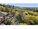 Picturesque aerial view of the property highlighting lush greenery and outdoor living spaces at 1159 Buffalo Ridge Rd, Castle Pines, CO 80108