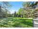 Expansive, lush backyard featuring a well-maintained lawn and mature trees, perfect for outdoor activities at 1159 Buffalo Ridge Rd, Castle Pines, CO 80108