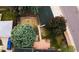 Bird's-eye view of a backyard featuring lush greenery, a patio, and mature trees at 2592 S Winona Ct, Denver, CO 80219