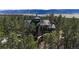 Overhead capture showcasing the home's green roof, stone chimney, and surrounding forest at 5090 S Perry Park Rd, Sedalia, CO 80135