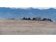 Scenic view of a dry field with homes below beautiful mountains at 10751 Manorstone Dr, Highlands Ranch, CO 80126