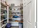 Organized pantry with plenty of shelving for food storage and kitchen essentials at 527 Antelope E Dr, Bennett, CO 80102
