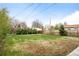 Large backyard with green grass and trees at 1213 Jamaica St, Aurora, CO 80010