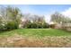 Large backyard with green grass and trees at 1213 Jamaica St, Aurora, CO 80010