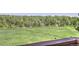 Scenic backyard view featuring lush greenery and wooded landscape at 9771 W Cornell Pl, Lakewood, CO 80227