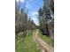 A scenic walking path lined with trees offers residents a serene outdoor experience at 290 Broken Lance Dr # B104, Breckenridge, CO 80424