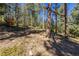 Backyard featuring mature trees and play structure at 6752 S Columbine Rd, Evergreen, CO 80439