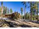 Cozy wood home with a deck nestled among evergreen trees and a scenic hillside at 6752 S Columbine Rd, Evergreen, CO 80439