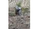 Utilities surrounded by grass and pine needles at 6752 S Columbine Rd, Evergreen, CO 80439