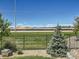 Scenic view from backyard featuring manicured lawn, small evergreens, and mountain range in the distance at 15347 Quince Cir, Thornton, CO 80602