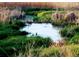 Scenic pond view with lush greenery and wildlife at 1920 S Hannibal St # B, Aurora, CO 80013