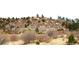 Houses in the distance amid scrub brush, rocks, and sparse trees at 1104 Rumbling Sky Pl, Castle Rock, CO 80108