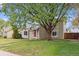 Charming home with well-maintained lawn, mature tree, and red front door at 21125 E 43Rd Ave, Denver, CO 80249