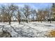 Snow-covered park with mature trees and benches at 8471 Everett Way # A, Arvada, CO 80005