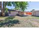 Spacious backyard featuring a covered patio and a shed for extra storage and shaded by a mature tree at 7391 Dale Ct, Westminster, CO 80030